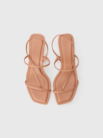 STEVE MADDEN Σανδάλι με λουράκια 'LOCKE' σε καφέ