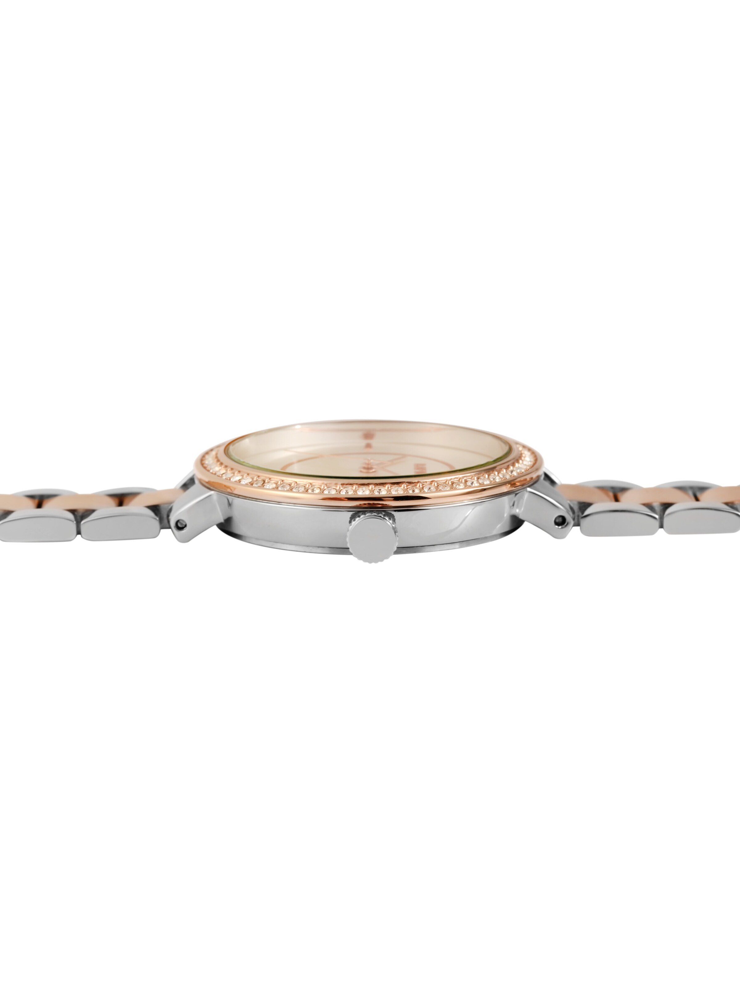 Raptor Analog Watch 'Maurin' in Mixed colors
