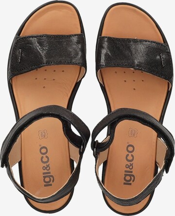 IGI&CO Sandals in Black