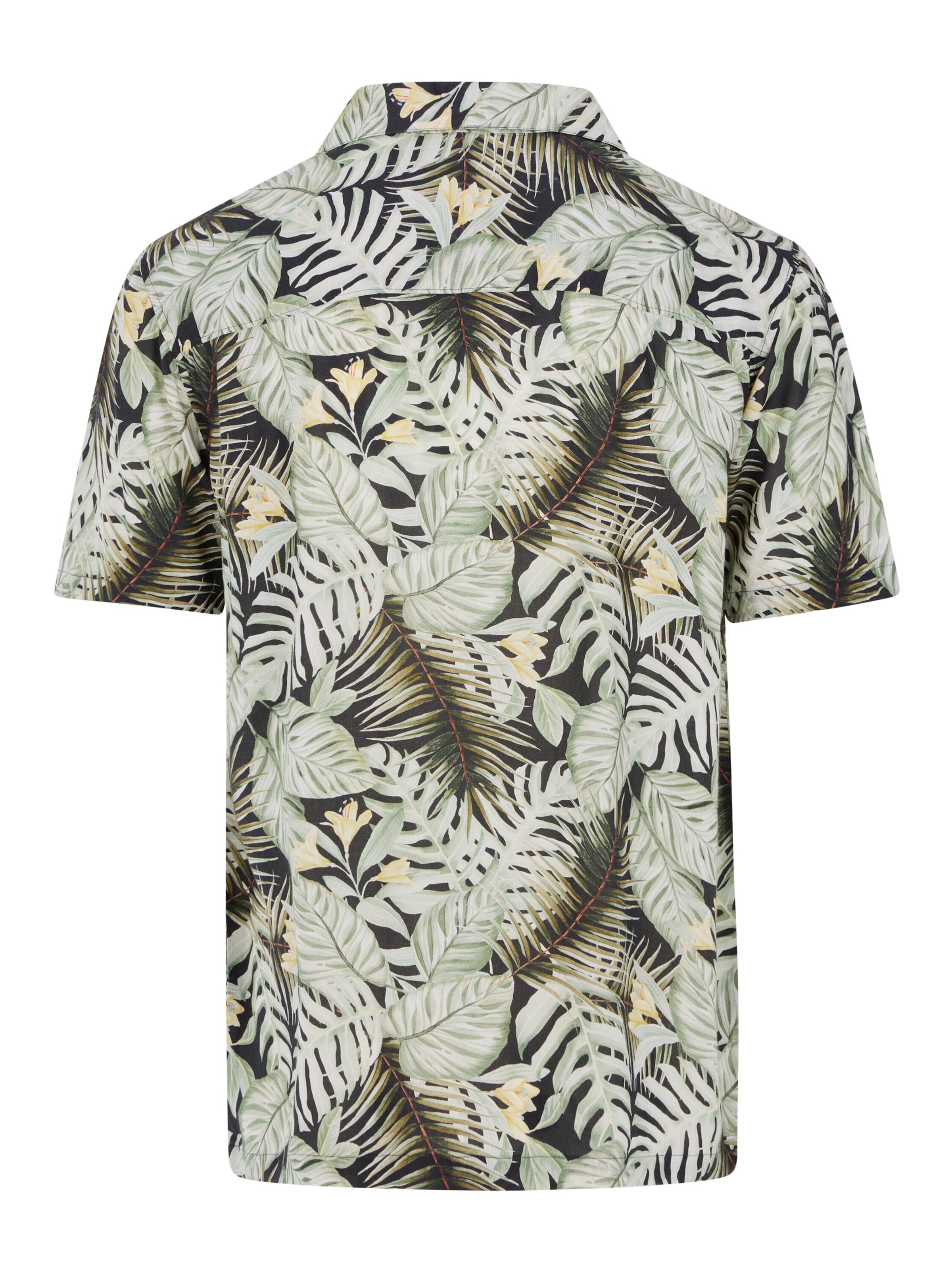 PROTEST Shirt 'PRTBAIL' in Groen