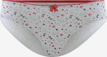 Happy Shorts Panty in Mixed colors