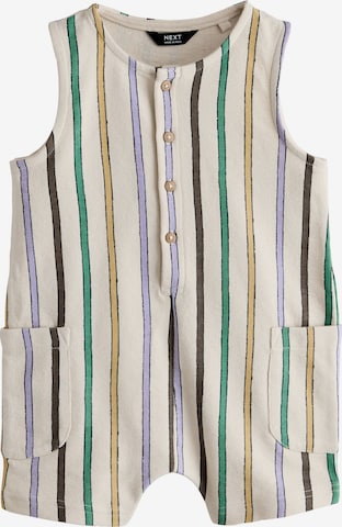 Next Overall in Gemengde kleuren: voorkant