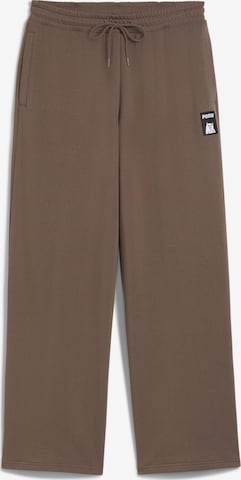 PUMA Hose 'Puma x Ripndip' in Braun: Vorderseite