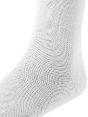 FALKE Socks 'Cotton Finesse' in White: front