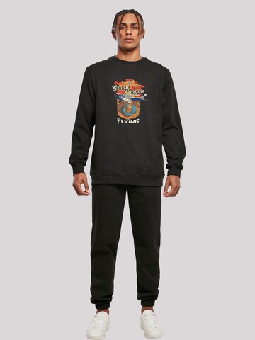 F4NT4STIC Sweatshirt 'Grand Canyon Flying' in Black