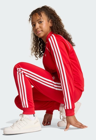 ADIDAS ORIGINALS Regular Hose in Rot