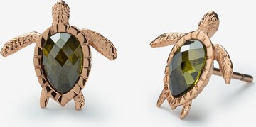 Paul Hewitt Earrings in Gold: front