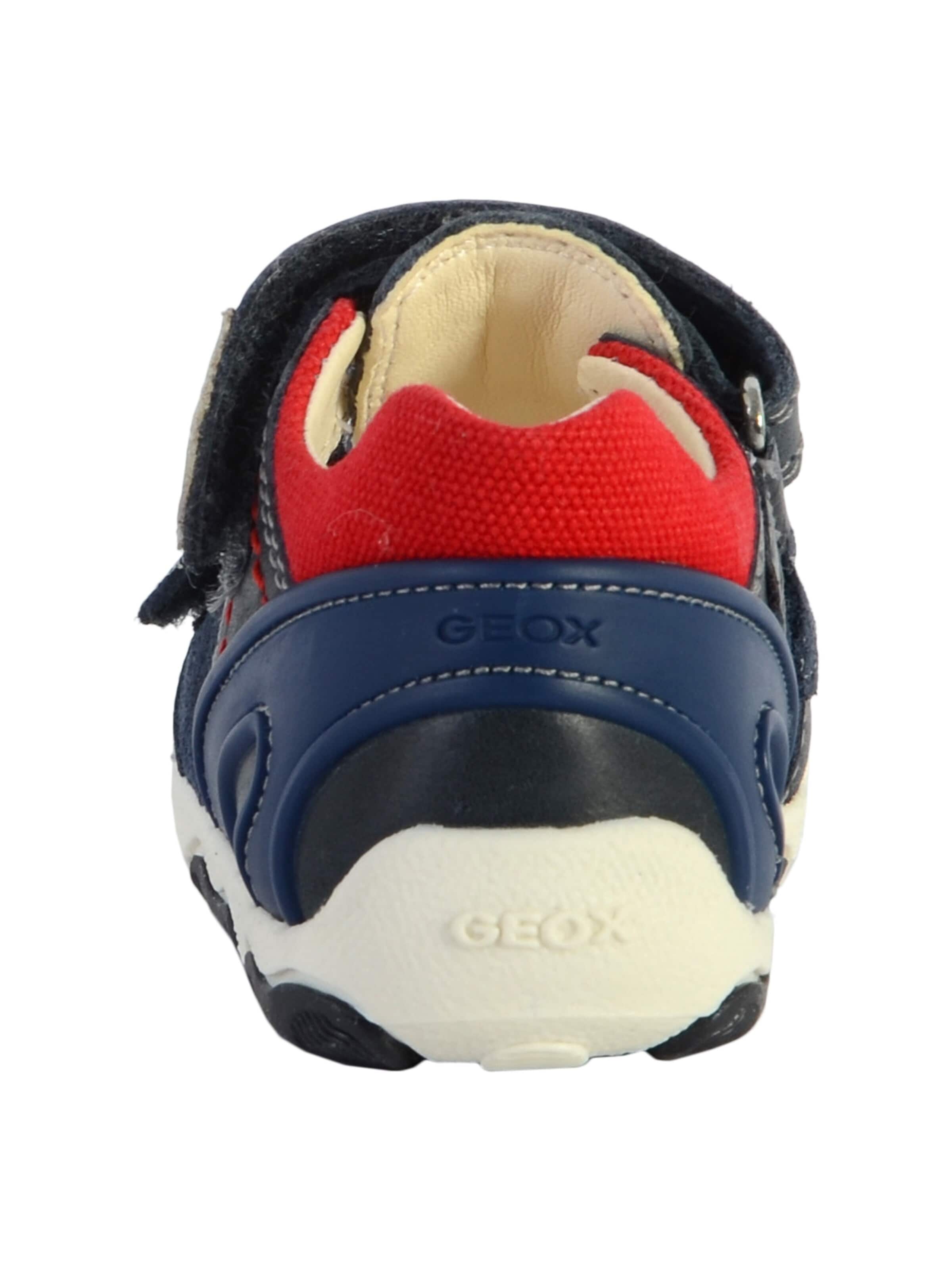 GEOX Sneakers in Blue