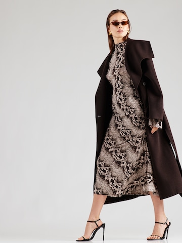 Robe & Other Stories en beige