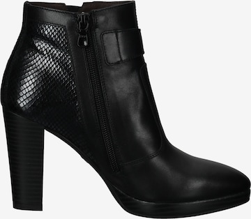 Nero Giardini Booties in Black