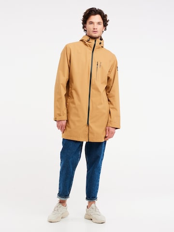 PROTEST Winter Jacket 'PRTTHOREAU' in Brown