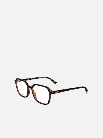 Polaroid Sunglasses 'Polaroid PLD D469 Havana 53/17/145 WOMAN Eyewear Frame' in Brown