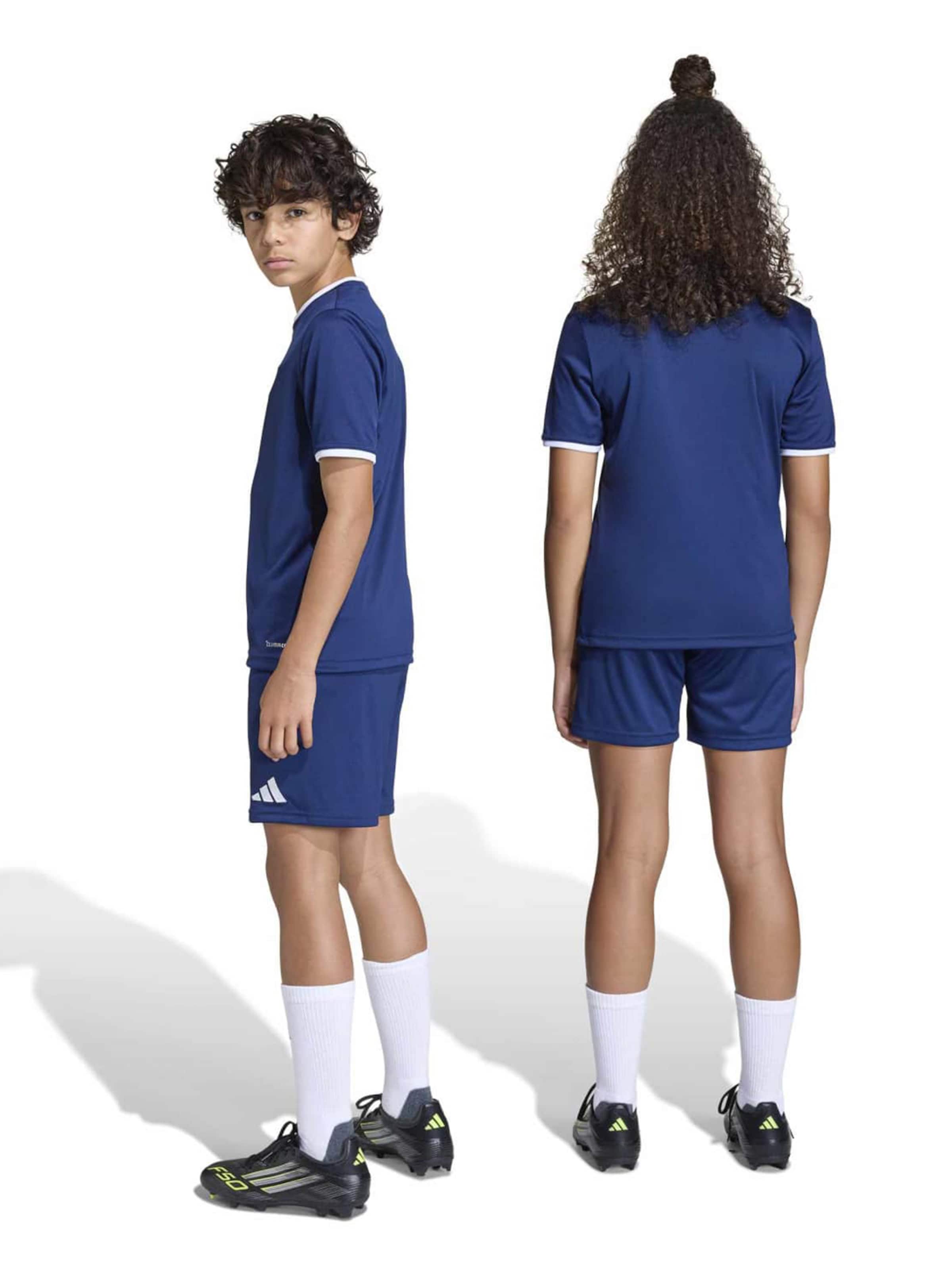 ADIDAS PERFORMANCE Regularen Športne hlače 'ENT26' | modra barva