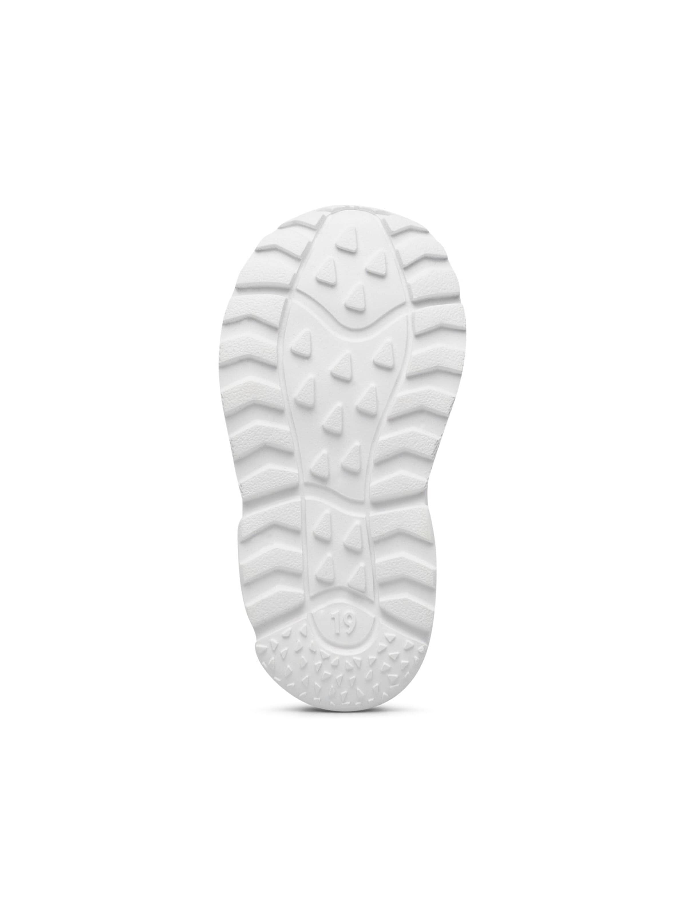 Falcotto Sneakers in Groen