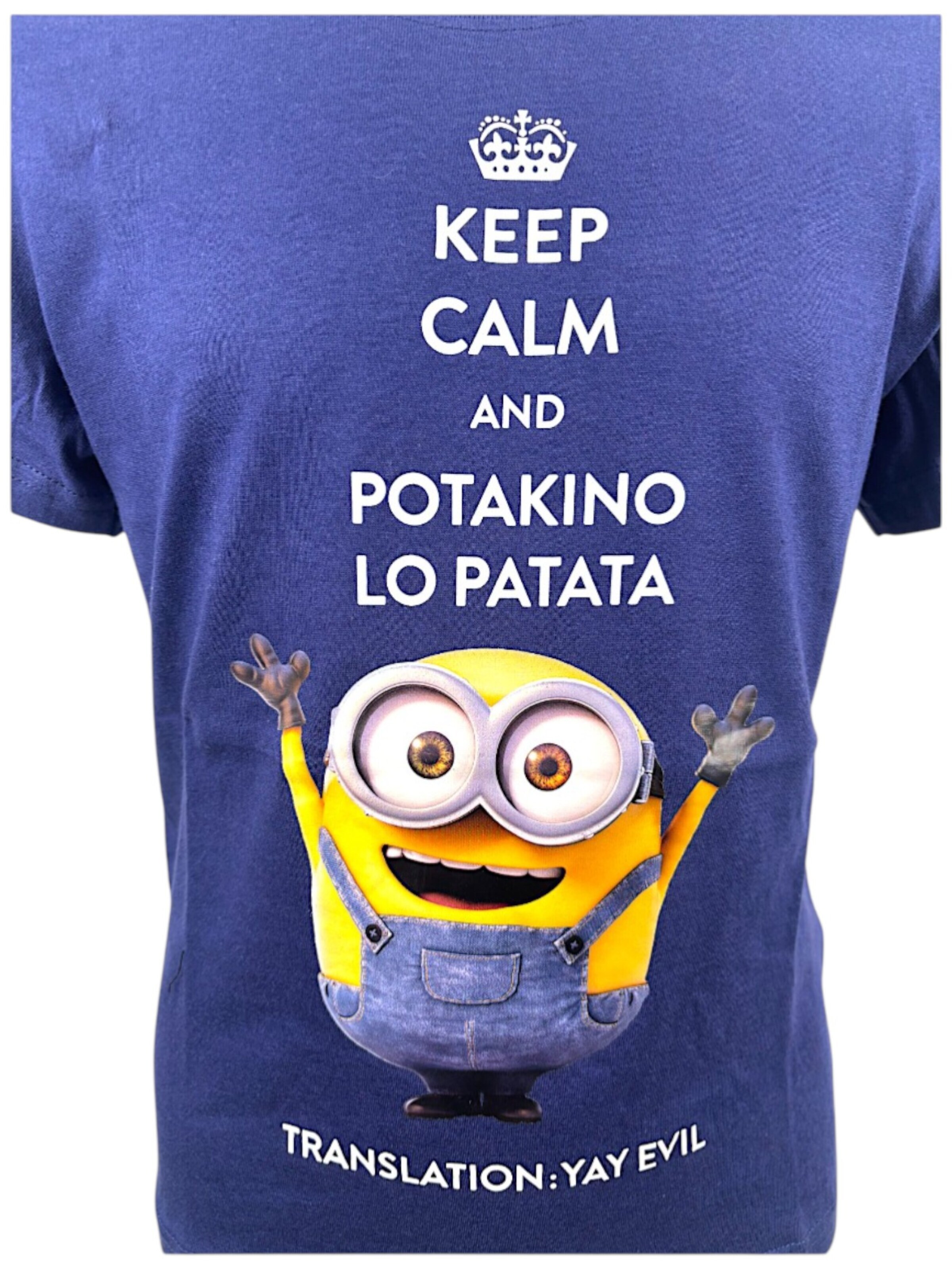 Minions Shirt 'Minions' in Blue