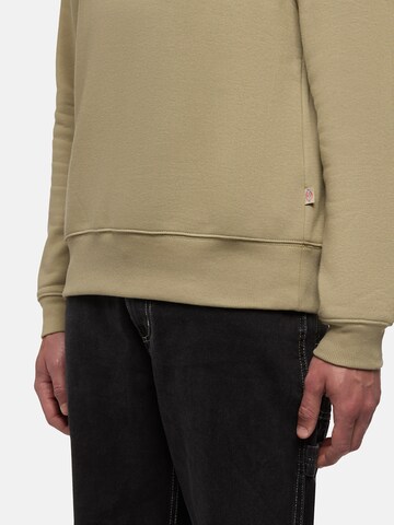 balta DICKIES Megztinis be užsegimo 'OAKPORT'