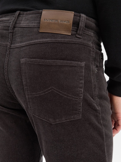 Nils Sundström Pants 'Aiden' in Anthracite, Item view