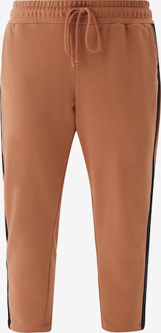 TRIANGLE Regular Pants in Brown: front