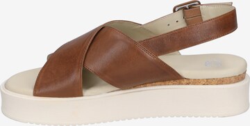 GERRY WEBER Strap Sandals 'Cervo 01' in Brown