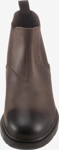 GEOX Chelsea Boots 'Andalo' in Braun