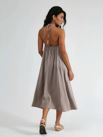 Busem Dress in Brown