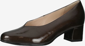 HASSIA Pumps in Brown: front