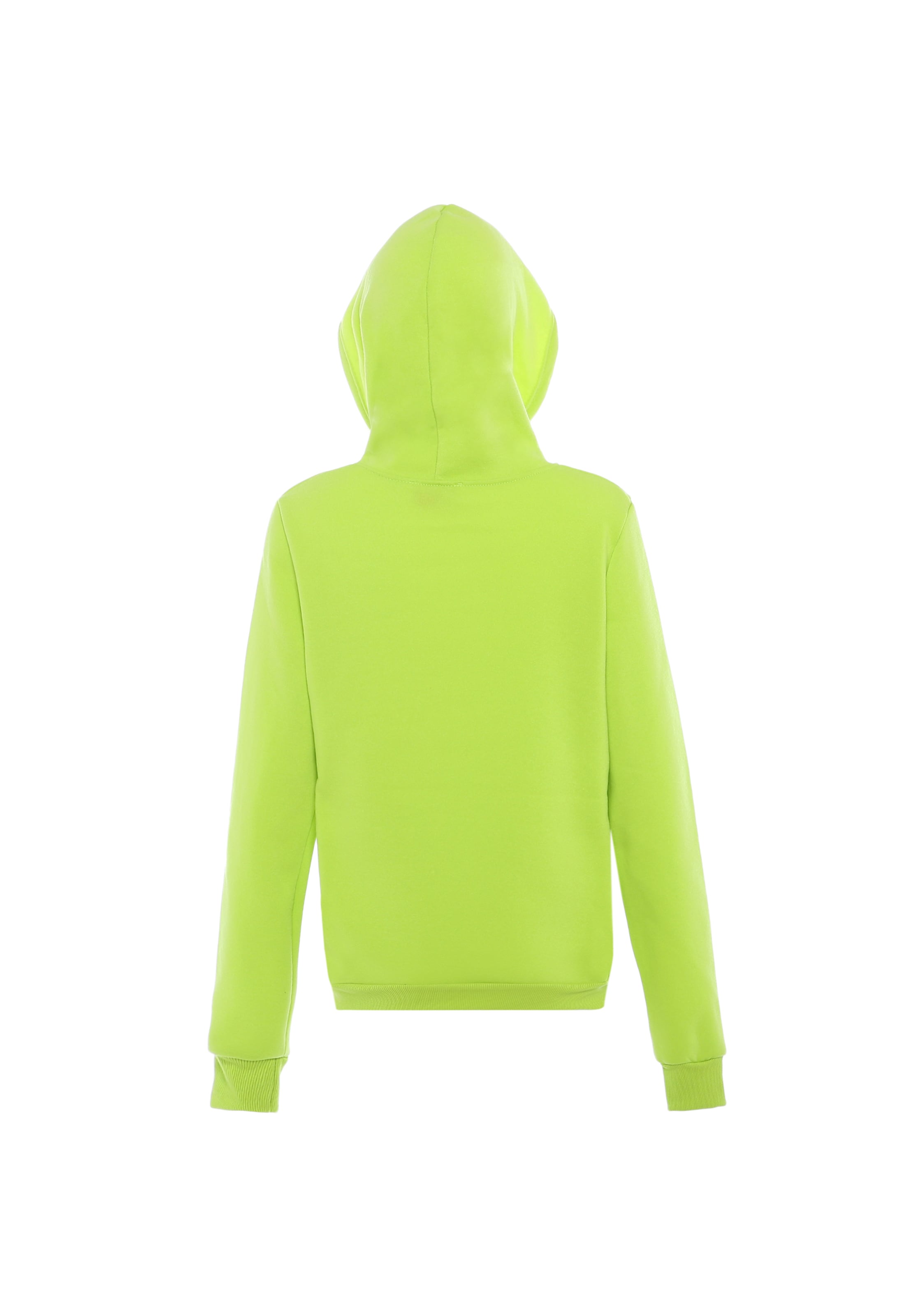 hoona Sweatshirt in Grün