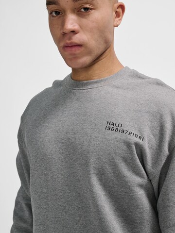 HALO Sweatshirt in Grijs
