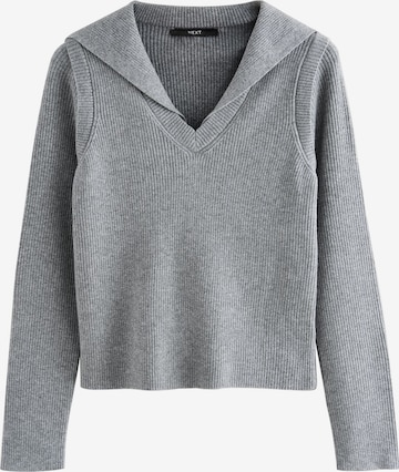 pilka Next Megztinis: priekis