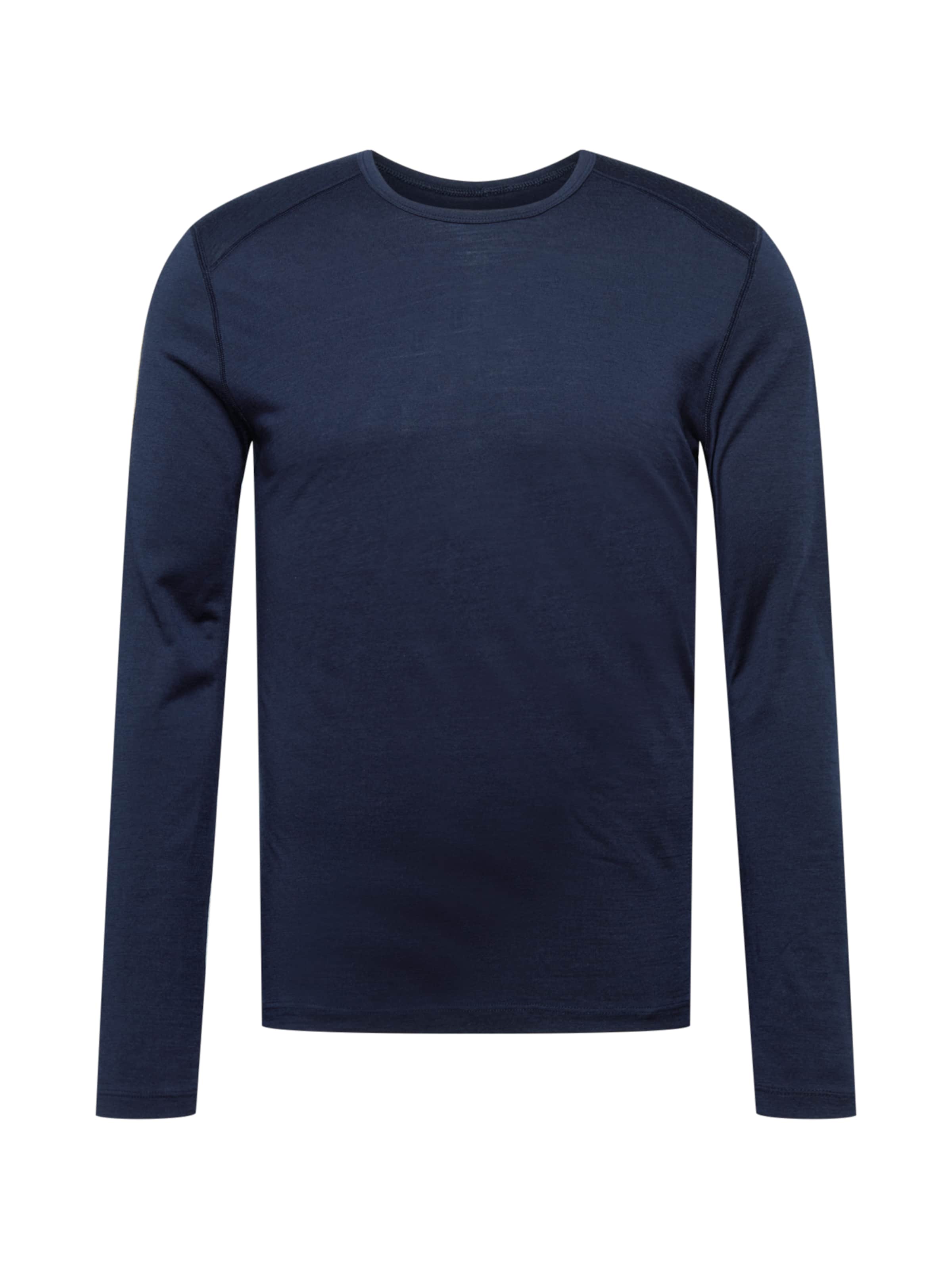 ICEBREAKER Performance shirt '200 Oasis' in Blue: front