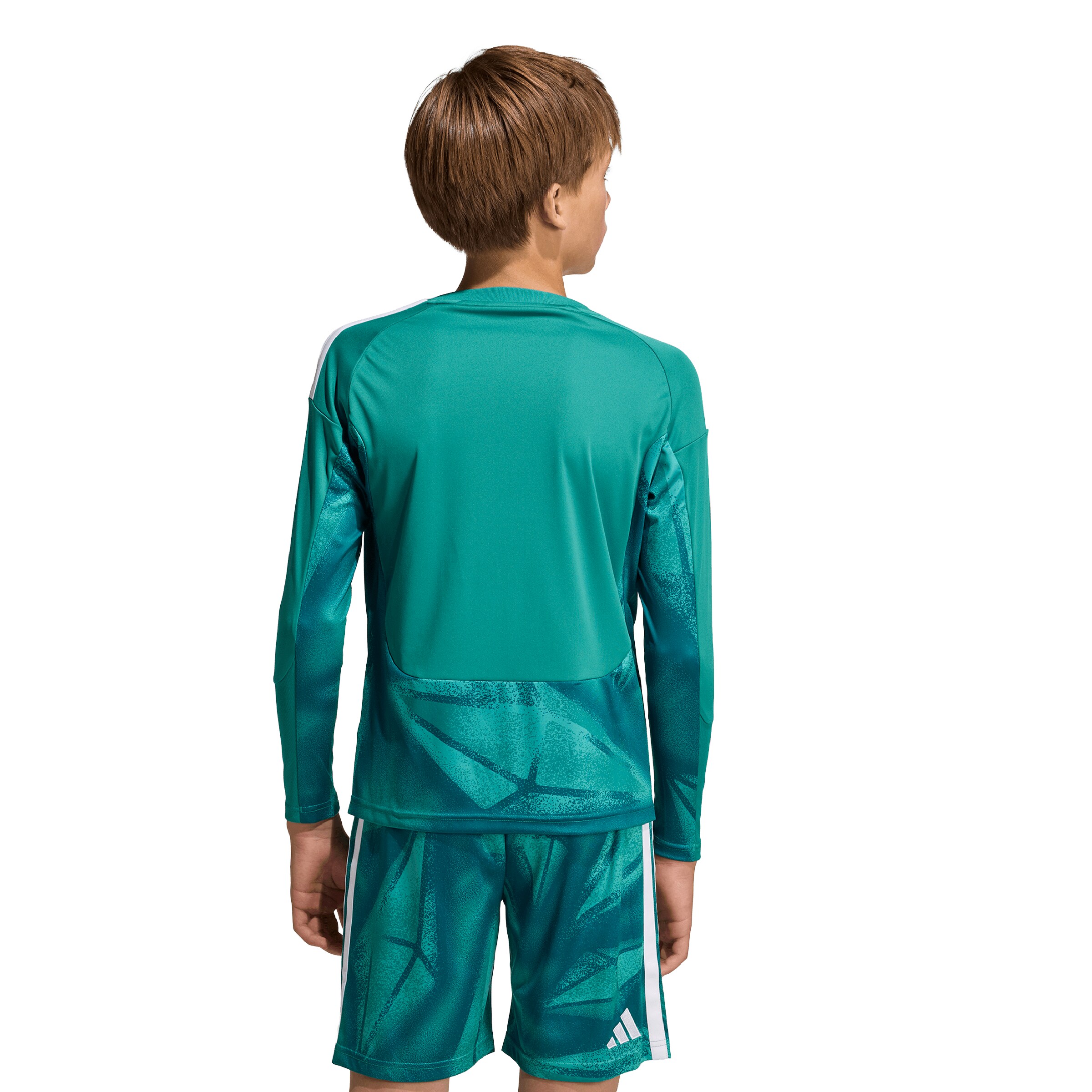 T-Shirt fonctionnel 'DFB H GK JSY' ADIDAS PERFORMANCE en vert