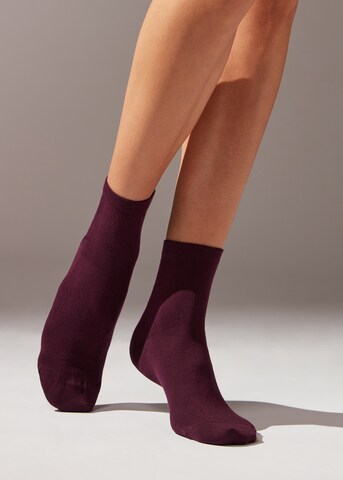 CALZEDONIA Socken in Lila: Vorderseite