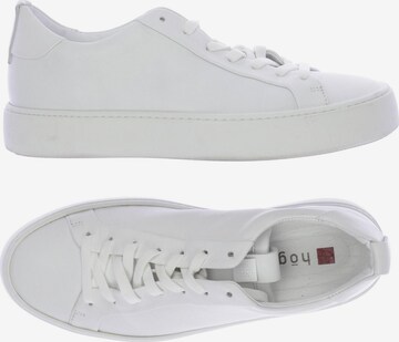 Högl Sneakers & Trainers in 36 in White: front