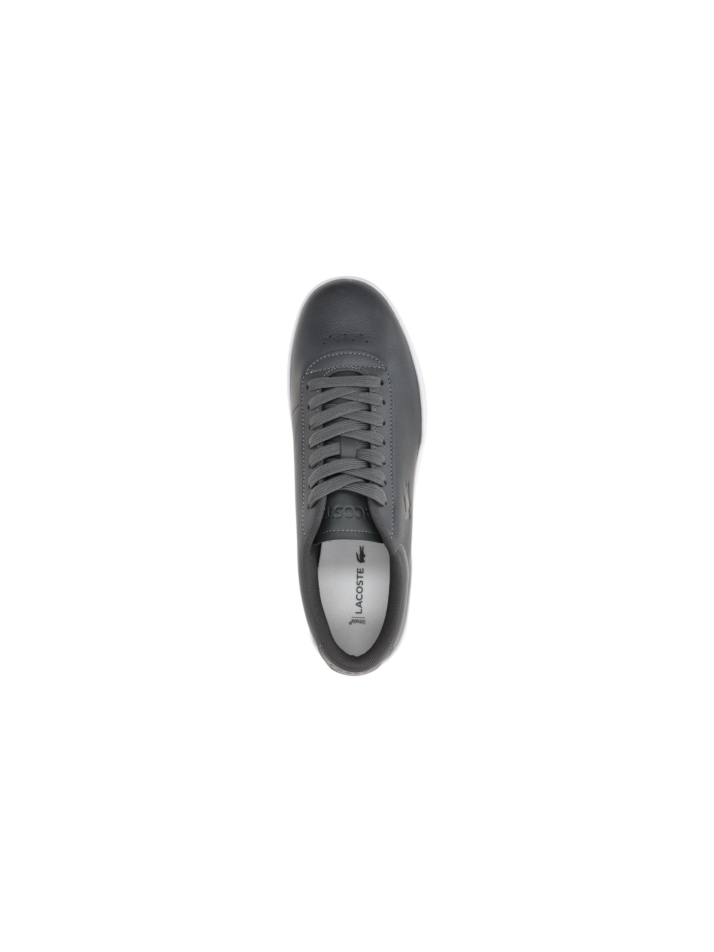 LACOSTE Lace-Up Shoes in Grey