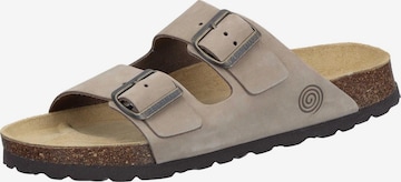 DR. BRINKMANN Mules 'Bonillo' in Beige: front