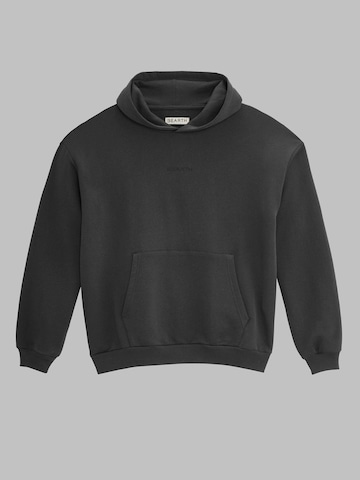 BEARTH Sweatshirt 'Hoodie Bio-Baumwolle' in Grey