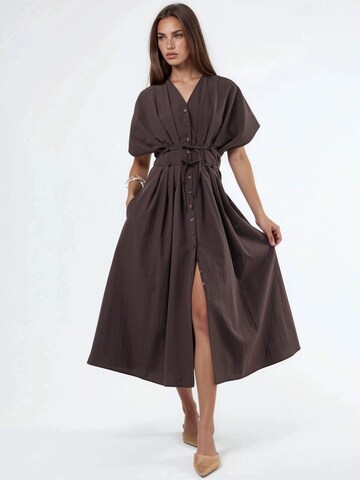 Busem Dress in Brown