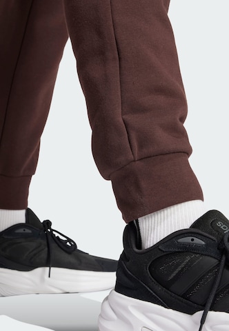 ADIDAS SPORTSWEAR - Tapered Pantalón deportivo 'Essentials' en marrón