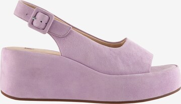 Högl Sandals 'LOULOU' in Purple: front