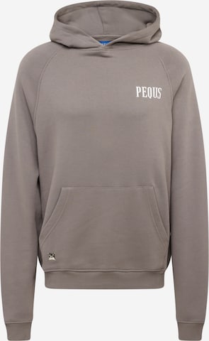 Pequs Sweatshirt in Grau: predná strana