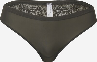 SCHIESSER Slip 'Brazil' en olive, Vue avec produit