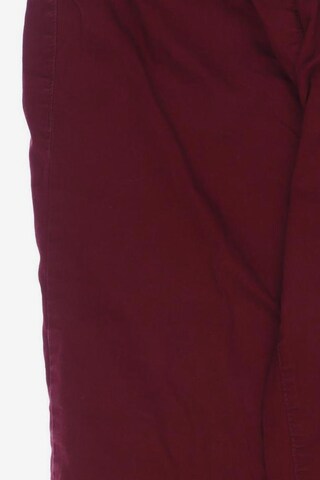 SHEEGO Pants in XXL in Red