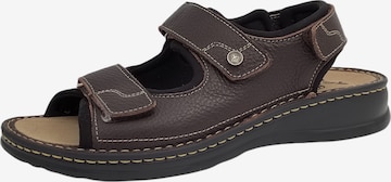 MUBB Sandals in Brown: front