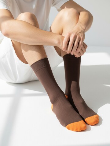 The Arctic Bay Socks 'ARCTIC WEEK EDITION 7 Pack Unisex' in Mixed colours