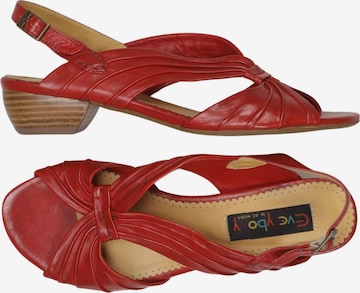 Everybody Sandalen 40 in Rot: Vorderseite