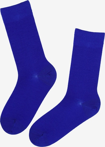 Calzino 'HANS merino socks for men' di Sokisahtel in blu: frontale
