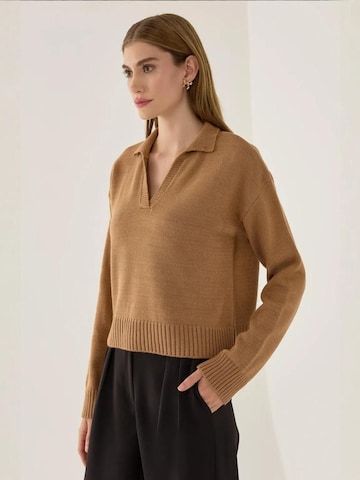 HiccupPulover 'Pullover' - smeđa boja