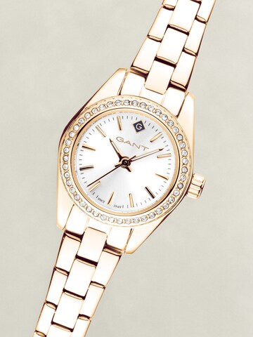 GANT - Reloj analógico en oro