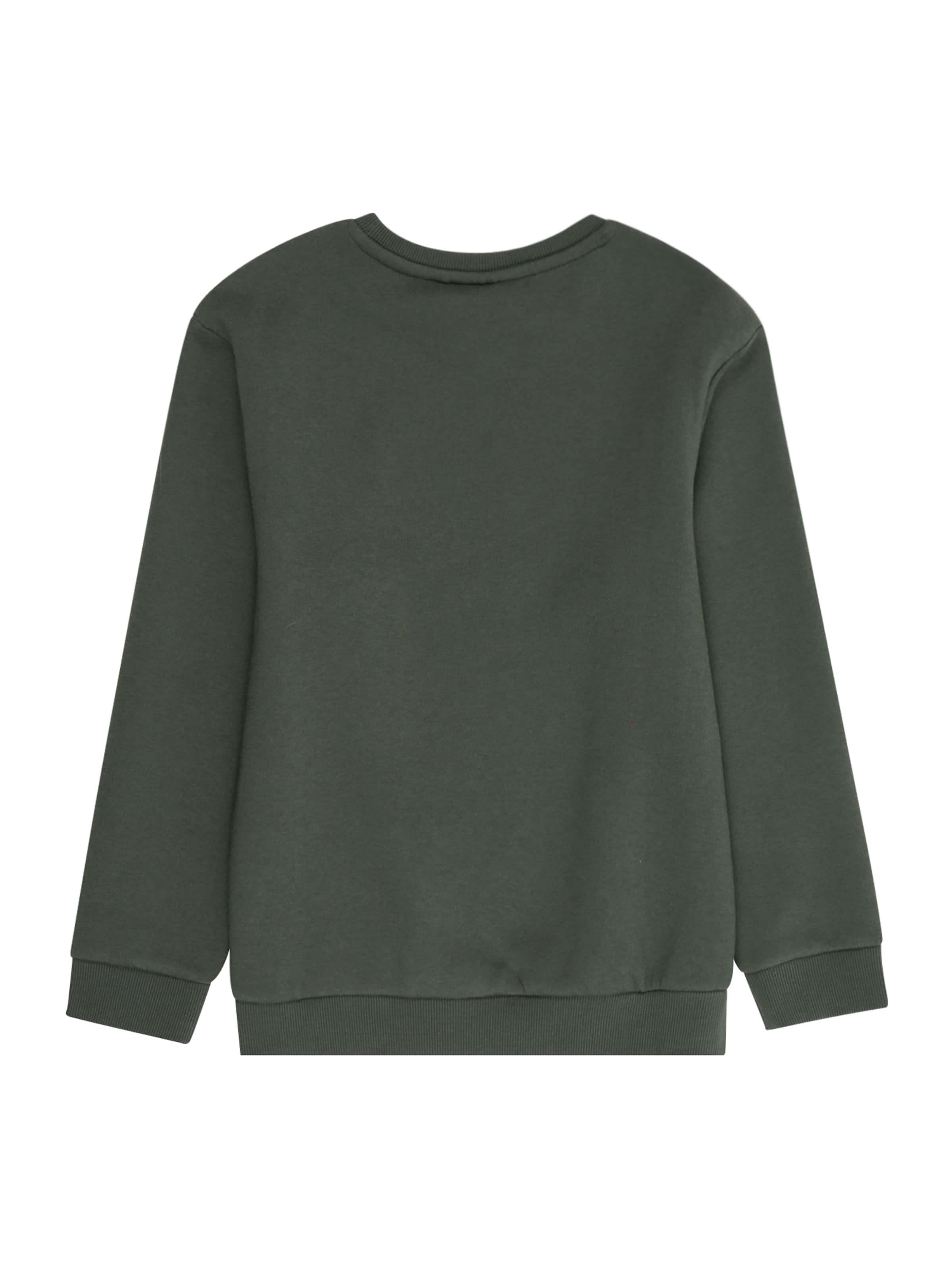 Felpa 'NKMNewton' di NAME IT in grigio