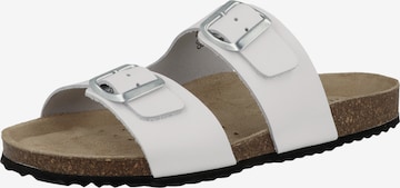 Mule 'Brionia' GEOX en blanc : devant